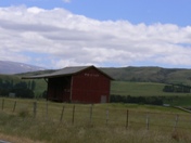 Teviot woolshed